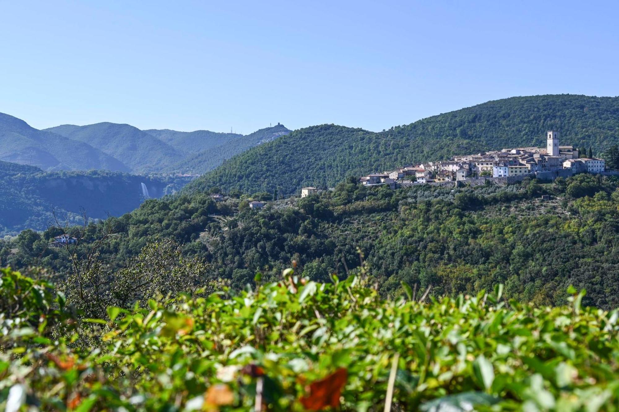 Apartmán Il Colle Di Torre Orsina Exteriér fotografie